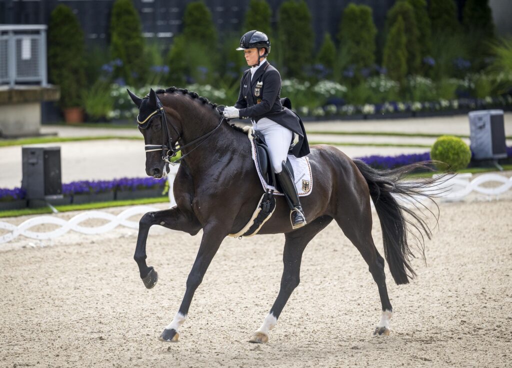 Pferd und Reiterin Dressur