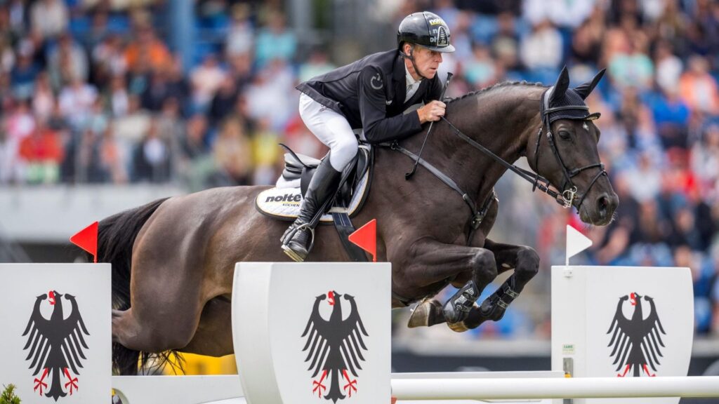 Reit-WM Pferd Springen